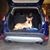 Tracy Betts's profile image