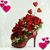 Laura Perales's profile image
