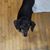 Cooper Herning's profile image