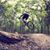 Nils Fuessle's profile image