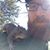 Jason Prudhom's profile image