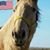 Kimberly Manuel's profile image