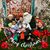 Justino Flores Jr's profile image