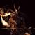 Halstead Miranda's profile image