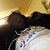 Rashon Timmy Porter's profile image