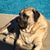 Alexandra Wilhite's profile image