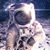 Chris Stitcher's profile image