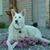 Tammy Dittmann McKenzie's profile image