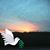 Irma Romero-McInnis's profile image