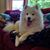 Stef Raber Parthemore's profile image
