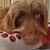 Martha Peña-Bickwid's profile image