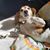 Tom Belason's profile image