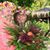 Joanne Alfieri Kaufmann's profile image