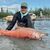 Tony Murray's profile image