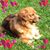 Cindy Blorstad's profile image