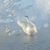 Debra Ann Powers's profile image