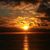 Erica Ramer's profile image