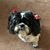 Cindy Nagy Jacques's profile image