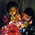 Donna Stapleton Karolick's profile image