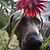 Bev Woldow's profile image