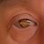 Paul Rice's profile image
