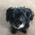 Todd Frakes's profile image