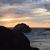Carol Currier's profile image