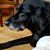 Andrea Wolfkill Branzell's profile image