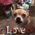 Pamela K. Campbell's profile image