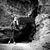 Debbie Carland's profile image