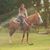 Amanda Brooke's profile image