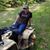Bridget Lee Hamler's profile image