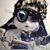Robert Harris's profile image