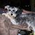 Betty Jo Dillon's profile image