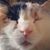 Liså Jørgensen's profile image