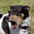 Jennifer Gammon's profile image