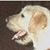Michael C Smith's profile image