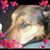 Bill Vaisey's profile image