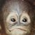 Dave Beck's profile image