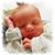 Stefanie Hannold's profile image