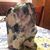 Dawn Palei's profile image