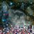 Lynne Browning-Jacobs's profile image