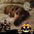 Jan Capriano Bennett's profile image
