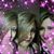 Glenda Raquel Martinez's profile image