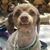 Bainbridge Jim's profile image