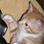 Martina Scanlon's profile image