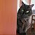 Susan Ferger's profile image