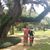 Kimberly Hirsch's profile image