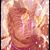 Jarrod M Stowe's profile image