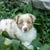 Christina Gaudreau's profile image